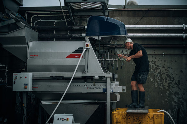 Contract Winemaking Flying Fish Cove Winery Margaret River